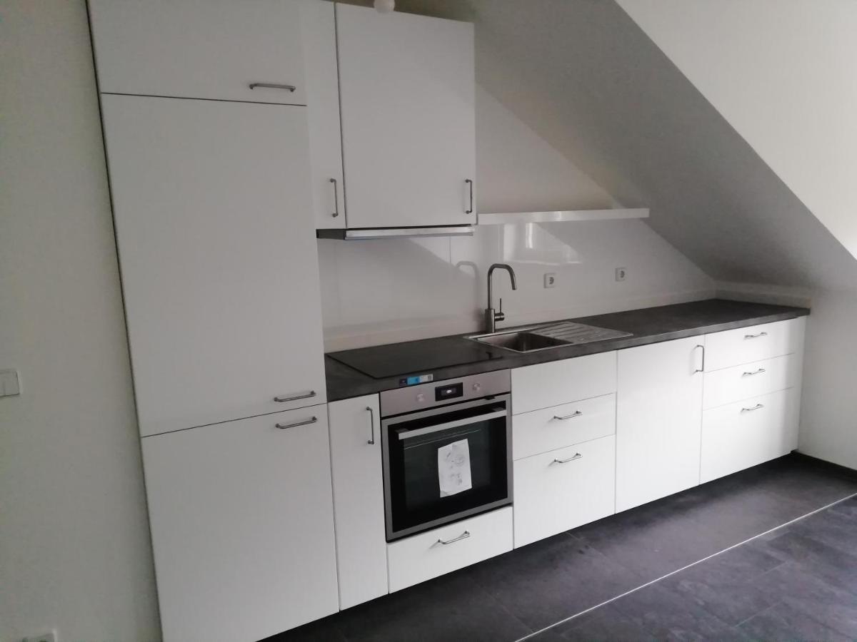 Ferienwohnung Am Stadtpark Chemnitz Ngoại thất bức ảnh